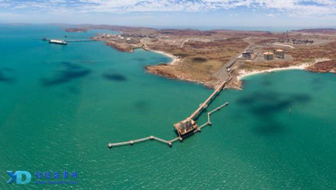 鲁尼：谢什科的控球能力还是比霍伊伦强的，未来会越来越好（鲁尼称谢什科控球胜过霍伊伦，未来更值得期待）