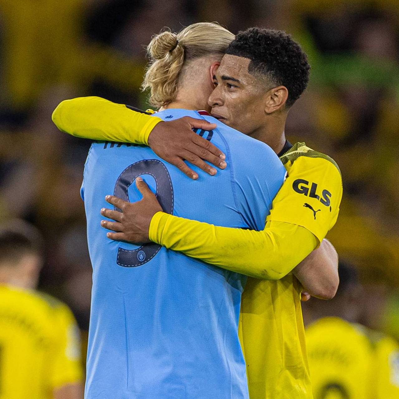 单届世欧预／欧预赛进球榜：哈兰德、莱万16球并列第一（单届世欧预／欧预赛射手榜：哈兰德与莱万同以16球领跑）